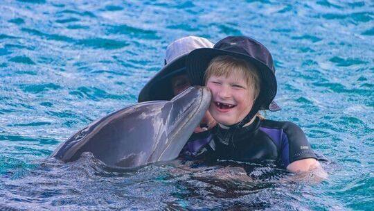 Ein Küsschen von einem Delfin, das ist schon etwas Besonderes.