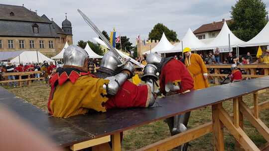 Kommenden Samstag und Sonntag sind beim "Way of Honor" des Verbands für historischen Vollkontakt-Rittersport wieder Kämpfer aus