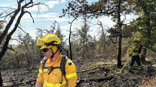 Brand- und Katastrophenschutzinspekteur und Forstamtsleiter im Kreis Neuwied sind sich einig: Die Waldbrandgefahr lässt sich nic
