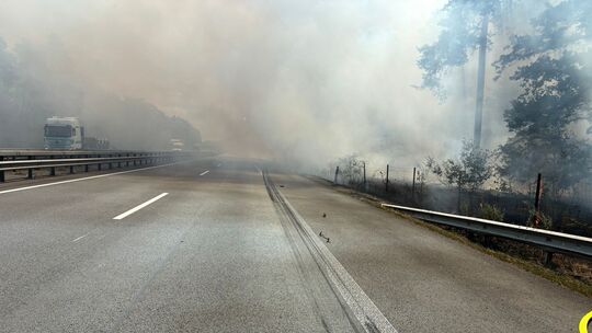 Geplatzter Lkw-Reifen löst Waldbrand aus