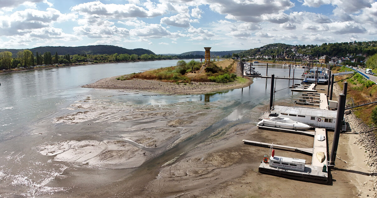 Marina, ferry, and more: The low Rhine water level in the Ahrweiler ...