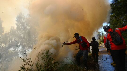 Waldbrand in Indonesien Waldbrand in Indonesien