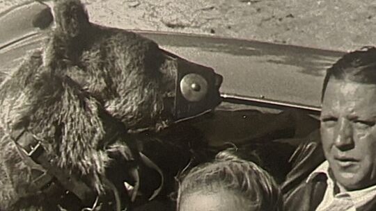 Willy Schäfer mit seinem Bären „Charles“.
