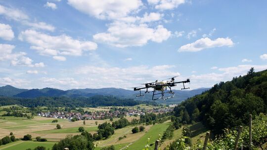 Drohne fliegt über Weinberge Drohne fliegt über Weinberge