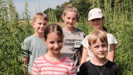 Einige Kinder toben im Hanflabyrinth. Henri (oben links), Tom (Mitte), Helena (oben rechts), Gwen (unten links) und Noah suchen