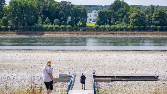 Niedrigwasser im Rhein