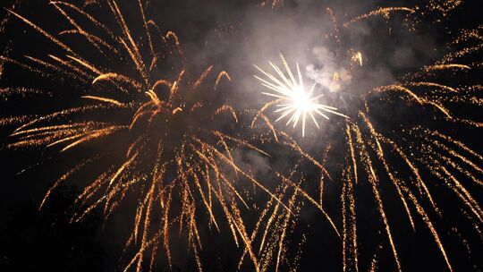 Das Feuerwerk (hier am Adolph-Kolping-Ufer in Oberlahnstein) begeisterte auch in diesem Jahr.