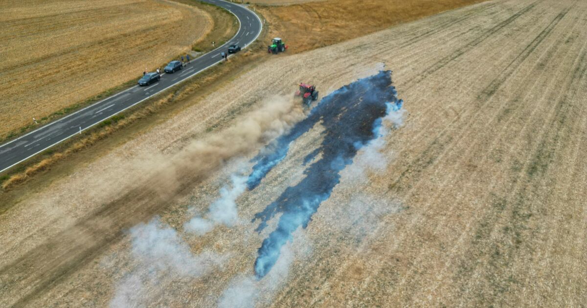 Feuerwehr an der Kreisgrenze: Flächenbrand bei Oberkirn löst Großalarm aus