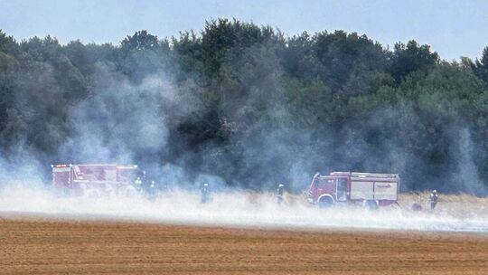 Dichter Rauch über dem Rapsfeld: Zwischen Büchenbeuren und Wahlenau brannte am Sonntagnachmittag eine rund 200 mal 80 Meter groß