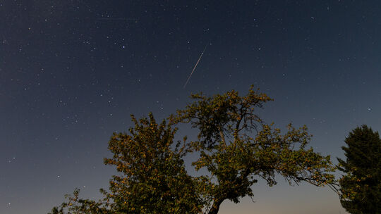 Eine Sternschnuppe der Perseiden ist am Himmel zu sehen. Mitte dieser Woche erreicht der Meteorstrom seinen Höhepunkt. Dann zisc