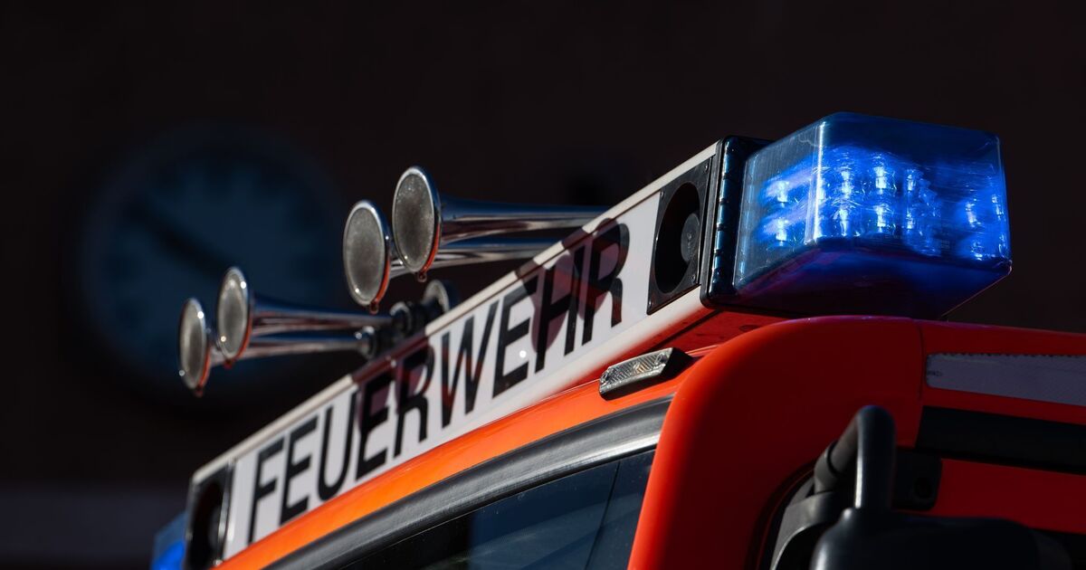 Feuerwehr in Koblenz: Warum der Festungshang am Sonntag kontrolliert wurde