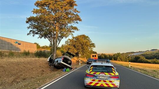 Prüm, Unfall, Baum
