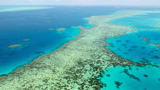 Great Barrier Reef in Australien Great Barrier Reef in Australien