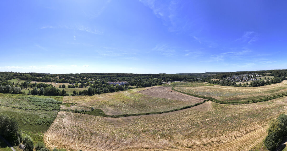 Wiesensee is being cleared: Excavation and relocation of the sludge begin