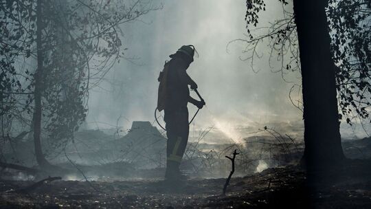 Waldbrand in Hessen Waldbrand in Hessen