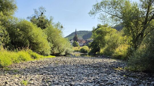 Nur kleine Wasserreste haben sich im Bett der Nahe gehalten – die Folgen der wochenlangen Trockenheit sind unübersehbar. Im Hint