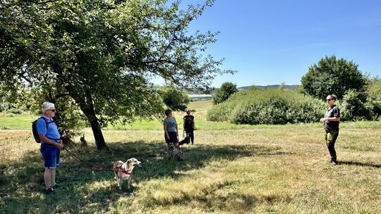Hundetrainerin Tine Schöpping (rechts) gibt den Kursteilnehmern Tipps für den entspannten und sicheren Umgang mit den Tierheimhu