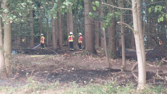 Zahlreiche punktuelle Brandherde verteilten sich bei dem Waldbrand nahe Hilgert auf eine Gesamtfläche von rund 85.000 Quadratmet