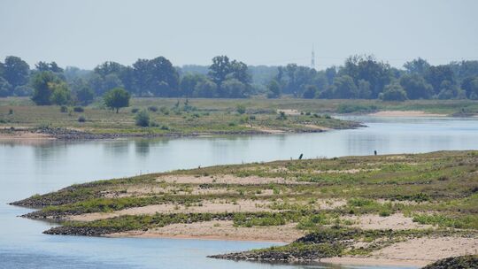 Niedrigwasser in der Elbe