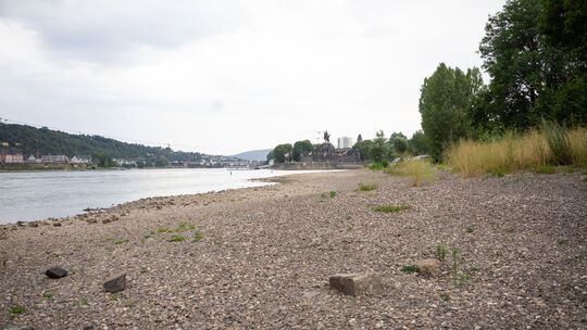 Die Uferbereiche des Rheins in Koblenz haben sich stellenweise durch das Niedrigwasser deutlich vergrößert.