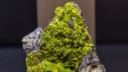 Sonderausstellung "Gesucht und Gefunden" Sonderausstellung "Gesucht und Gefunden"