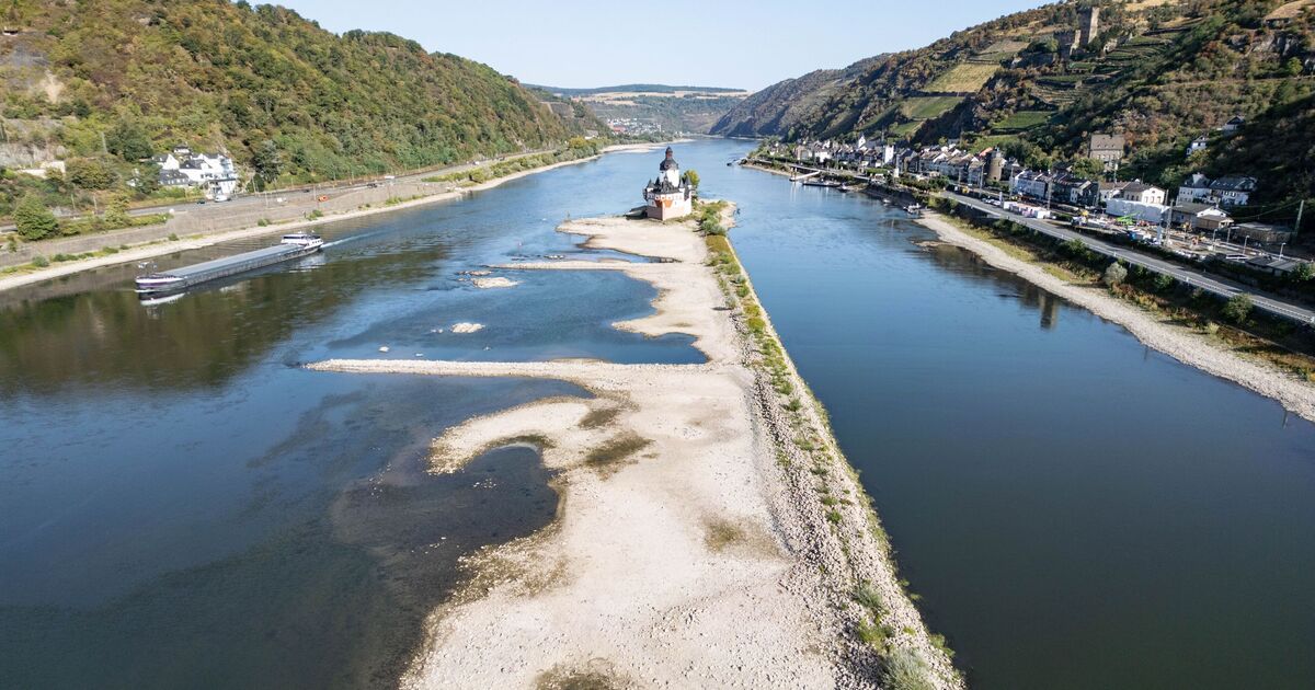 Logistics Experts on Low Water Levels: