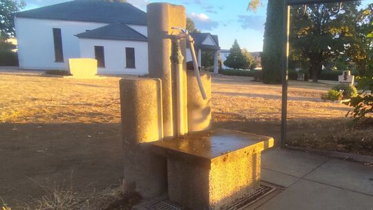 Die Vegetation auf dem Friedhof leidet wie überall. Erleichterung beim Gießen soll nun eine dritte Wasserstelle bringen.