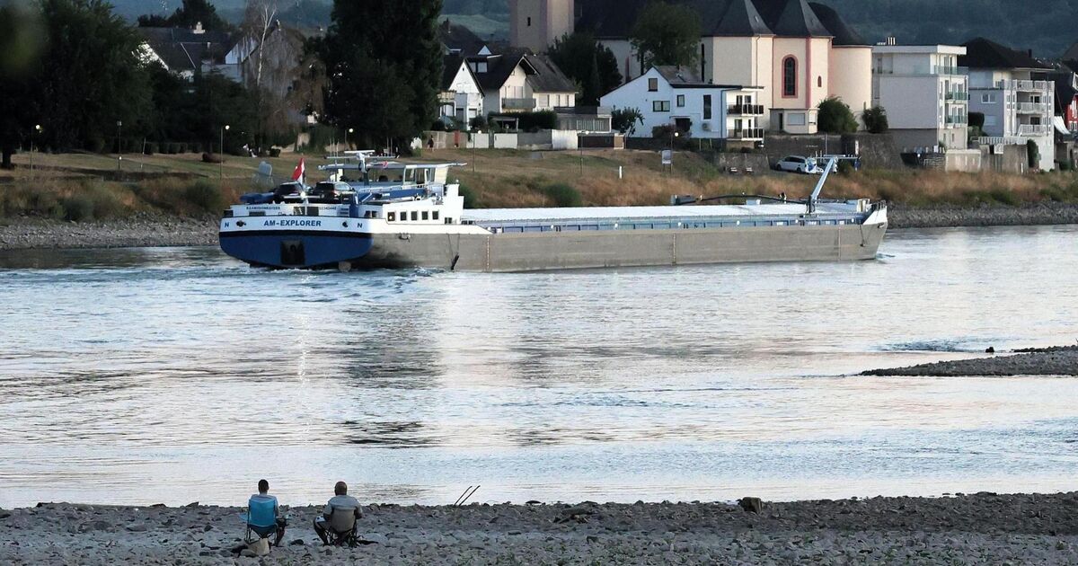 Photos from the Neuwied district: Low water exposes riverbed and attracts ...