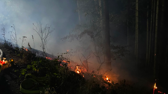 In der Nähe der Hohen Acht haben am Mittwoch rund 700 Quadratmeter Vegetation gebrannt.