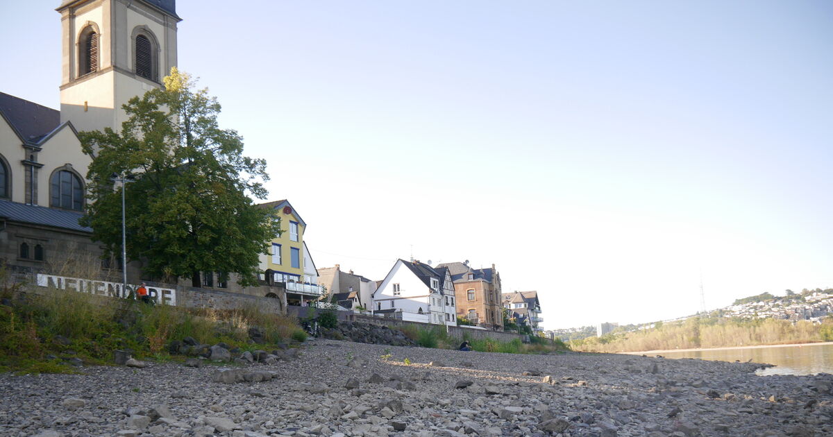 Low water in Koblenz: Rhine recedes significantly, revealing gravel banks