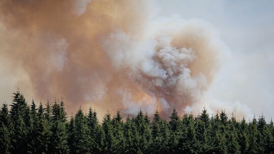 Dicke Rauchwolken stehen über dem Wald bei Langscheid in der Verbandsgemeinde Vordereifel.