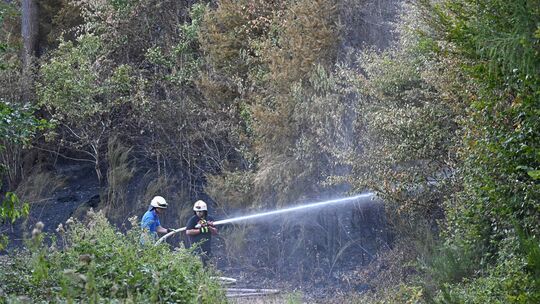 Nur von außen durften die Feuerwehrleute dem Brand im Kondelwald zu Leibe rücken