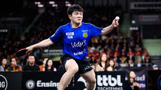 Den 1. FC Saarbrücken hat Fan Zhendong nicht nur zur Deutschen Meisterschaft geführt, sondern einen regelrechten Tischtennis-Hyp Den 1. FC Saarbrücken hat Fan Zhendong nicht nur zur Deutschen Meisterschaft geführt, sondern einen regelrechten Tischtennis-Hyp