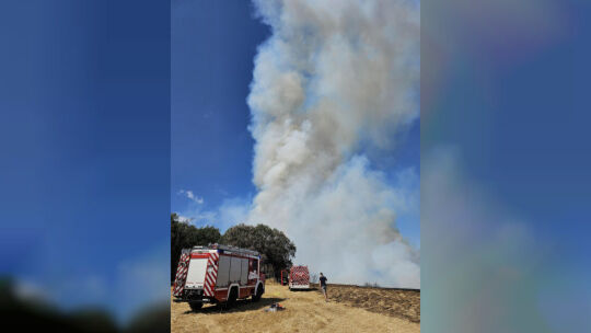 Bei dem Waldbrand in der Vordereifel sind zahlreiche Feuerwehreinheiten aus dem Landkreis Mayen-Koblenz im Einsatz. Unterstützt