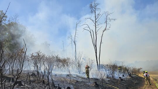 In der Vordereifel ist am Freitagmittag ein Wiesen- und Waldbrand ausgebrochen. Mehrere Dörfer mussten bereits evakuiert werden. In der Vordereifel ist am Freitagmittag ein Wiesen- und Waldbrand ausgebrochen. Mehrere Dörfer mussten bereits evakuiert werden.
