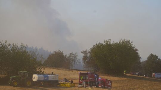 Waldbrand in Rheinland-Pfalz Waldbrand in Rheinland-Pfalz