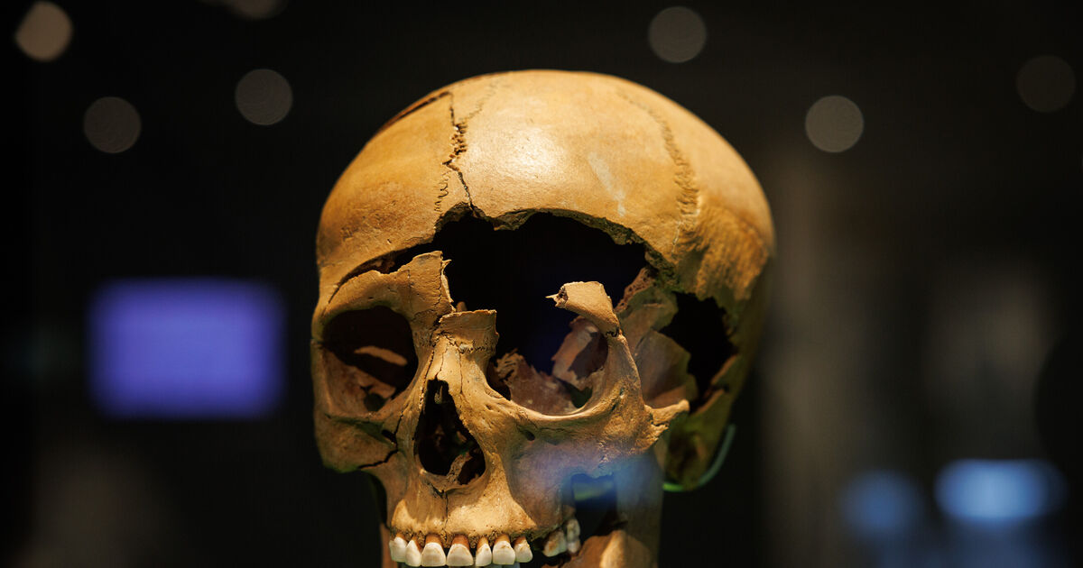 Neandertaler von Ochtendung?: Gefälschte Funde: Was wurde aus ...