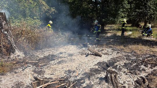In der Winterhauch brannte eine Fläche von rund 100 Quadratmetern mitten im Wald. 45 Kräfte der Feuerwehr hatten die Lage schnel