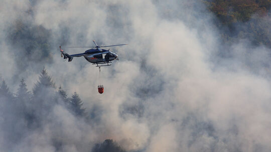 Waldbrand im Tal der wilden Endert. Zwischen Büchel und Greimersburg bekämpft die Feuerwehr einen Großbrand.