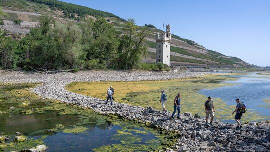Extremes Niedrigwasser auf dem Rhein Extremes Niedrigwasser auf dem Rhein