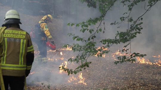 Waldbrand Hürtgenwald