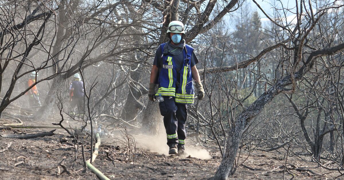 Major fire in the Vordereifel: Everything is black in the hiking paradise