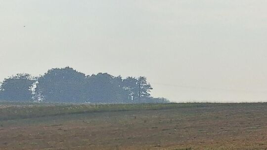 Rauchwolken und Brandgeruch wegen der Feuer in Belgien und in der Eifel führen inzwischen auch im Kreis Birkenfeld zu teils verd Rauchwolken und Brandgeruch wegen der Feuer in Belgien und in der Eifel führen inzwischen auch im Kreis Birkenfeld zu teils verd