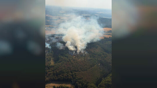 So sah der Waldbrand bei Langscheid in der VG Vordereifel am Freitag aus. So sah der Waldbrand bei Langscheid in der VG Vordereifel am Freitag aus.
