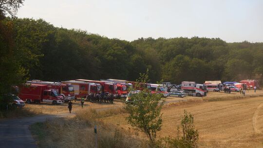 Ein Großaufgebot der Feuerwehr bekämpft erfolgreich einen Waldbrand bei Langenfeld, bei dem auch Einsatzkräfte der VG Adenau unt