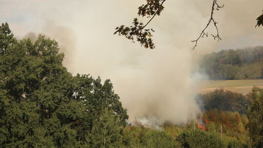 Ein Flächenbrand in Gebhardshain fordert ein Großaufgebot der Feuerwehren.