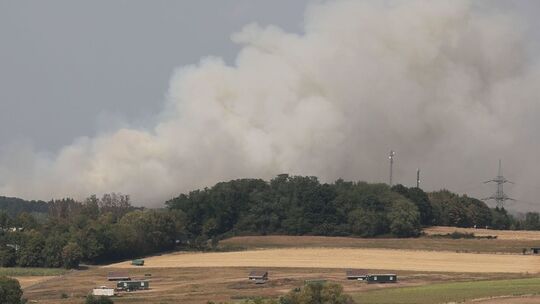 Waldbrand im Saarland