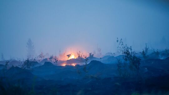 Waldbrand in Belgien