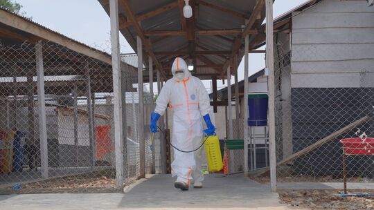 Ebola im Kongo