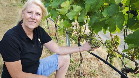 Viola Keune baut mit ihrem Mann Karsten auch wieder Rotwein in Rheinbreitbach an.